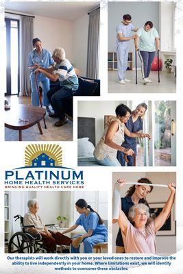 Platinum Home Health Services