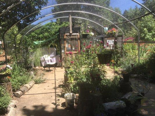 You're paying $6 for adults to visit a small greenhouse with monarchs held against their free will in captivity.