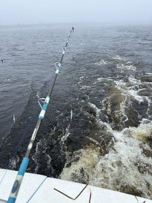 Mackerel fishing