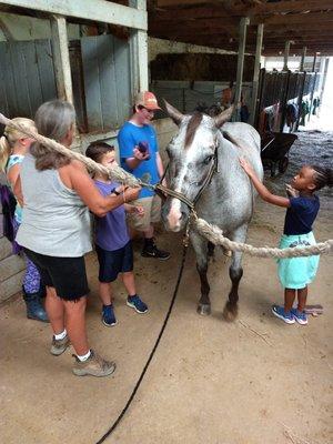 Full Circle Nature School