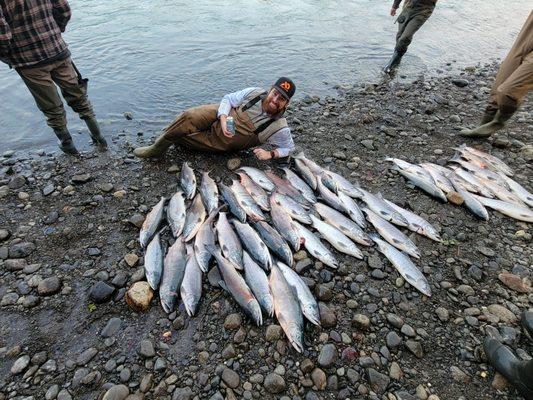 Sockeye catch