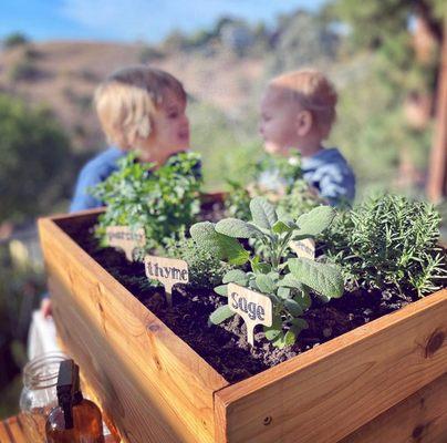 Thanksgiving herb box delivered to your door!