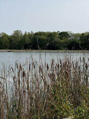 Possum Creek Metropark