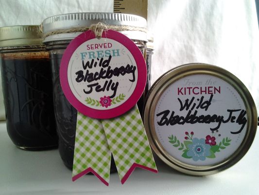 Handpicked Wild Blackberry Jelly