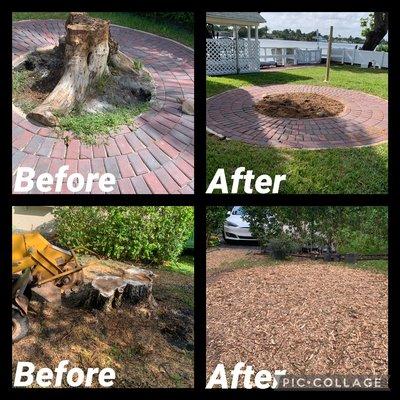 Stump removal services give us a call at 305-930-2353 Isaac.