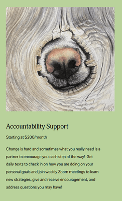 Services: Accountability Support