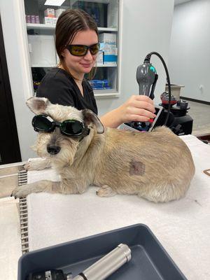 Ashli getting laser therapy to help her wounds heal!