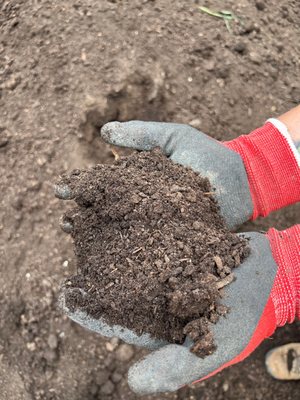 Bulk Mushroom Compost Organic Soil for Gardens.