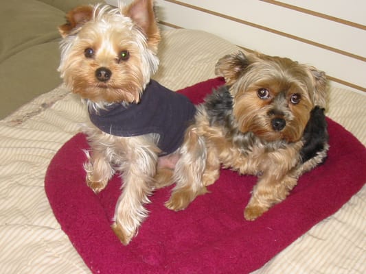 Brother and sister share a bed.