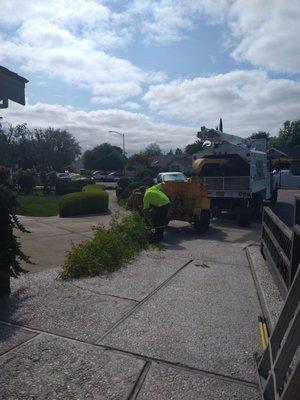 Nor-Cal Tree & Stump Service