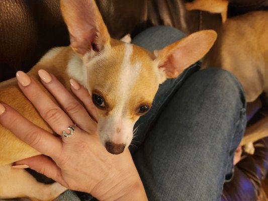 Cooper loved my blush nails, too!