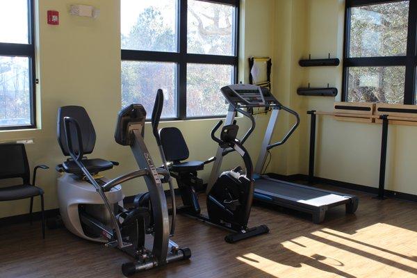 Hampstead Clinic treatment gym