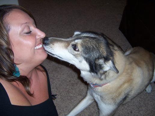 Jade (RIP), 16yo husky mix.