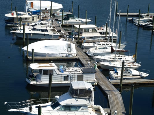 Boston Bay Marina