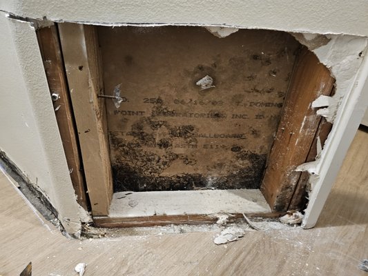 Mold found in wall after opening it up.