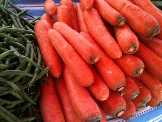 Ginormous carrots