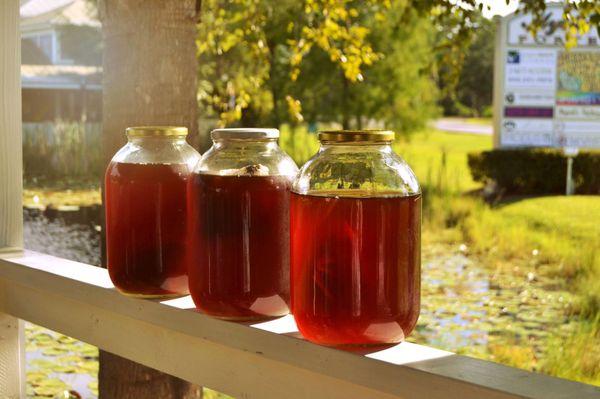 Sun Tea....available daily