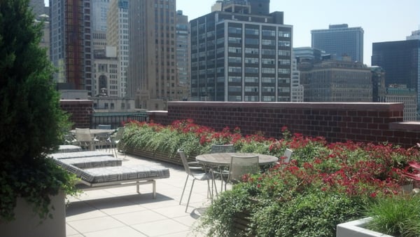 Another angle of the Beautiful Rooftop Terrace!