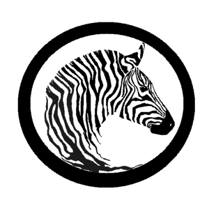 OLD Cloudy Zebra SEO logo for our Albany Internet Marketing Company