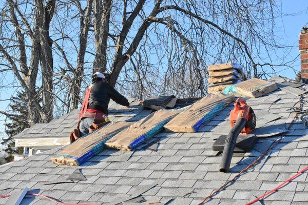 Asphalt Shingles