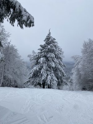 Magic Mountain Ski Area