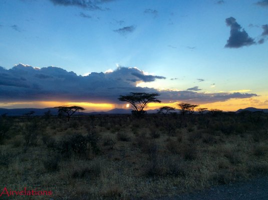 Buffalo Springs, Kenya, Africa