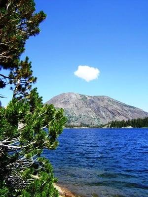 Tioga Lake Campground