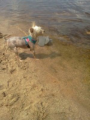 Beach Day