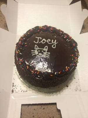 Joey. Kitty cat cake. Who knew they are so creative and can draw too