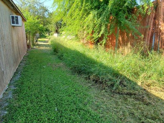 Tx requires the home owner to clear this area, I did that and ended up in hospital for a week with dehydration and kidney failur