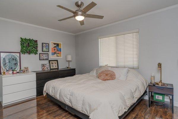 Primrose Terrace's Upscale 1-Bedroom Apartments have Large Bedrooms with Hardwood Floors