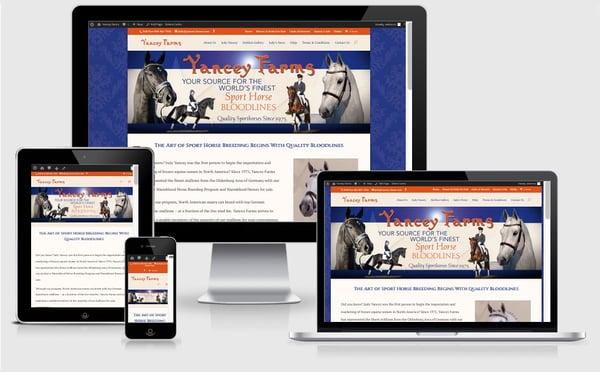 Horse Industry Website Design & Development