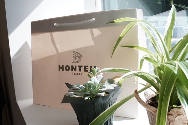 Products and services for skin care by MONTEIL.