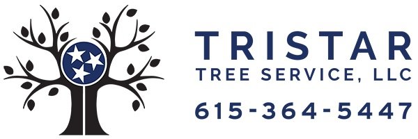 Tristar Tree Service