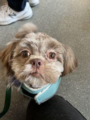 fresh cut and could finally see her eyes