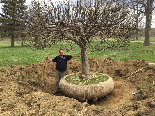 Tree planting services available.