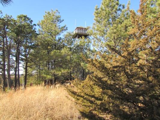 Nebraska National Forest