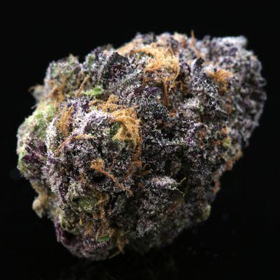 TJ's Purple Kush