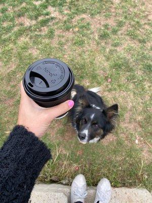 My fave. Hot almond milk latte , 1 pump caramel, 1 pump vanilla. And Harper wishing she had one. But she's a lot of energy as it is.