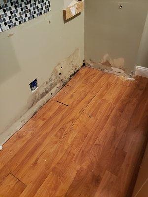 Mold in the wall in a kitchen