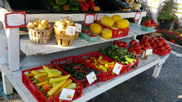 Fresh vegetables