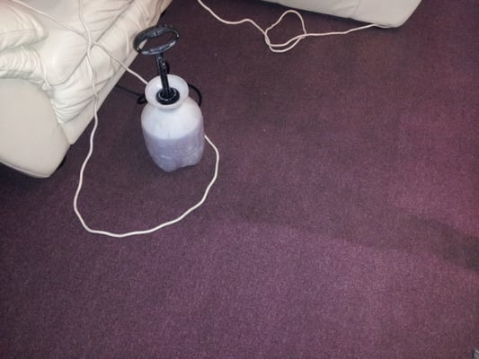 Southside Carpet Cleaning