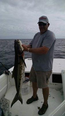 another cobia