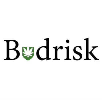 Budrisk Logo