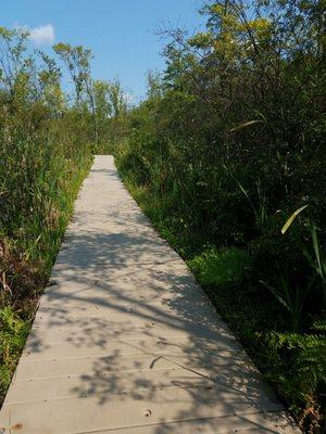 Beautiful morning for a hike. Nature therapy!!