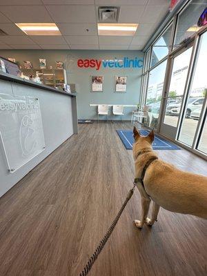 easyvet Veterinarian Mckinney