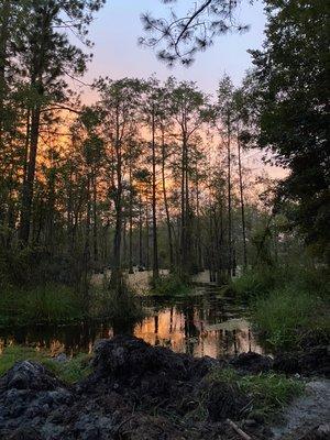 Fishing Pond