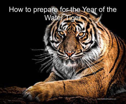 How to prepare for the year of the Water Tiger