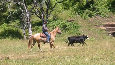 Reese Creek Ranch