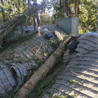 Darrel Emel's Tree Service